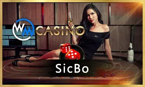 Professional Live Dealers